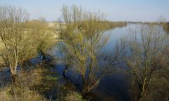 Dramatyczne odkrycie. Wyłowiono dwa ciała z Wisły