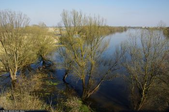 Dramatyczne odkrycie. Wyłowiono dwa ciała z Wisły