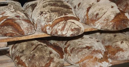 Ceny chleba uderzą w Polaków. Szokujący rachunek z piekarni z Jastrzębia-Zdroju
