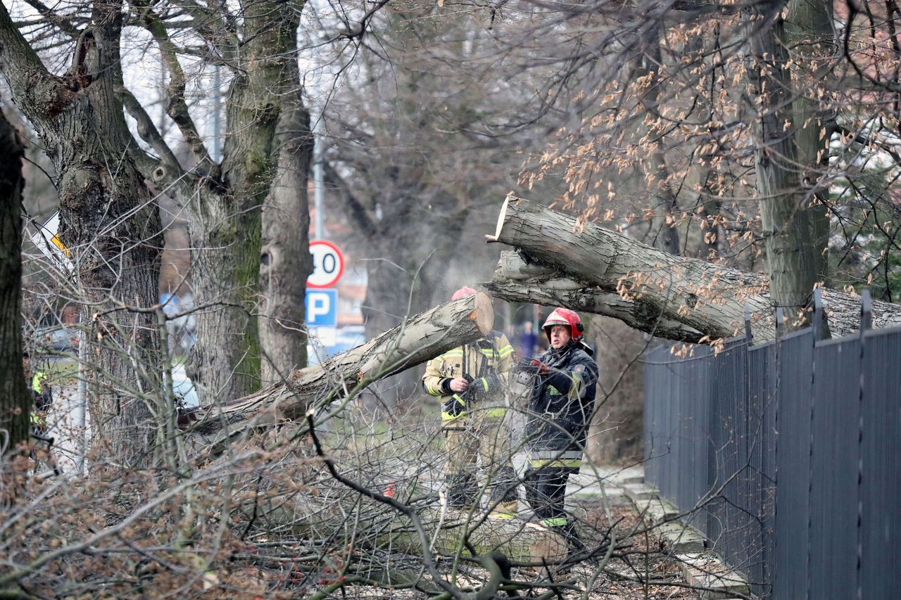 Pogoda. Front burzowy przemieszcza się nad Polską - IMGW wydał komunikat