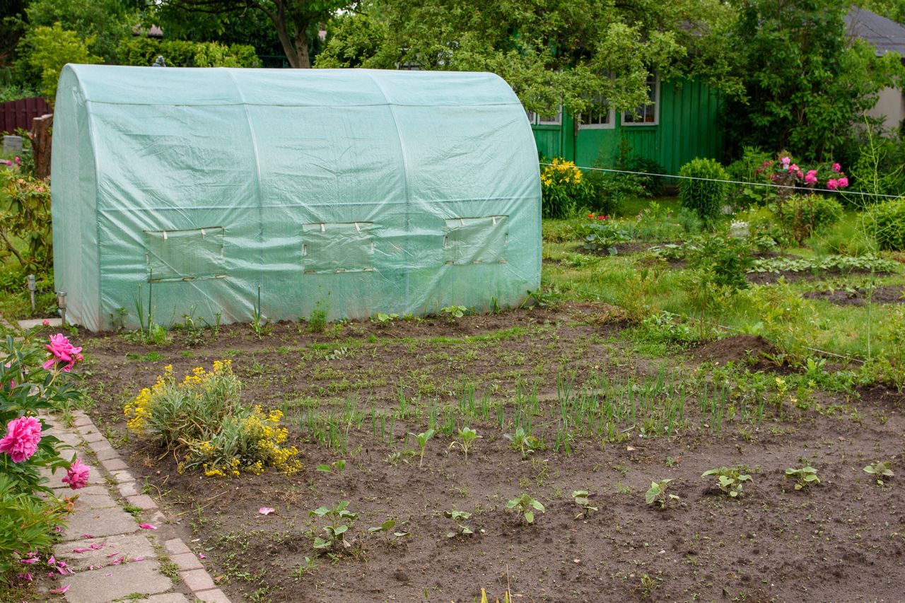 Kary za podlewanie obowiązują w wybranych gminach