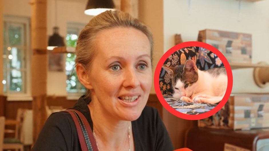 Do kociej kawiarni od 12. roku życia. "Dzieci są smutne, że nie mogą wejść"
