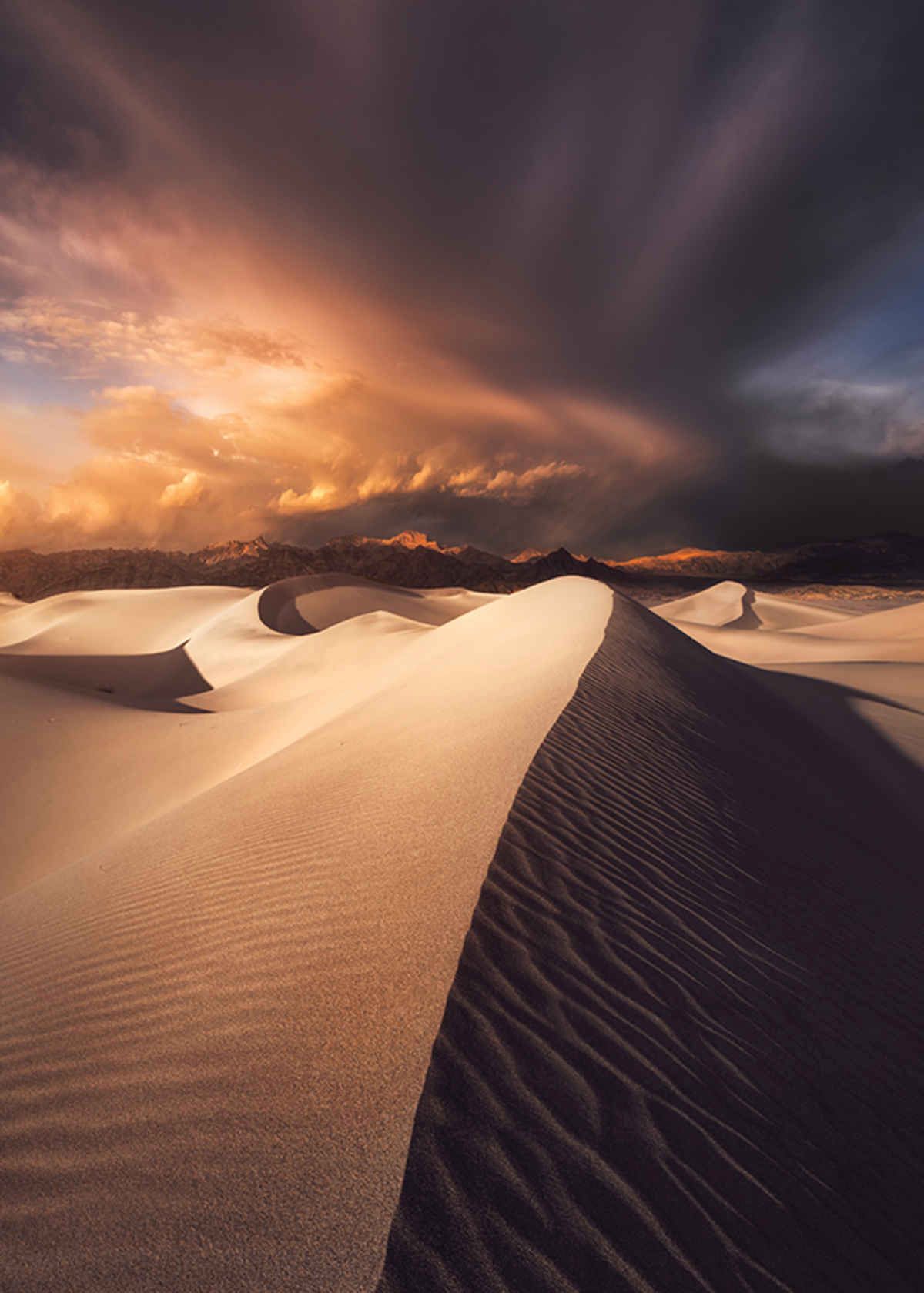 Zwycięzcą w kategorii dorosłych został Ted Gore, który sfotografował wydmy w Parku Narodowym Death Valley w Kalifornii. W nagrodę otrzyma 5000 dolarów oraz publikację w magazynach USA Today i Popphoto.com.