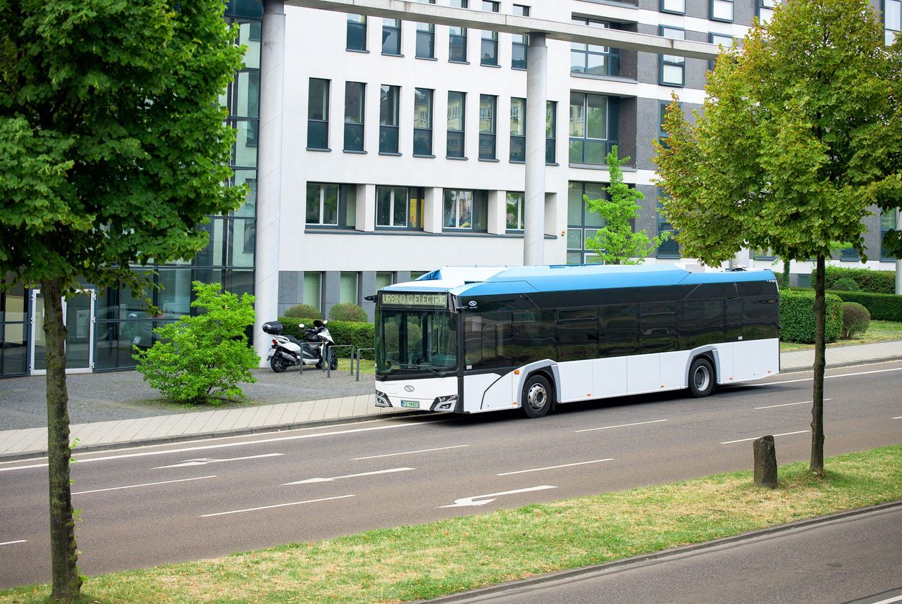 Polskie autobusy mają wzięcie. Niemal 100 egzemplarzy trafi na Sardynię