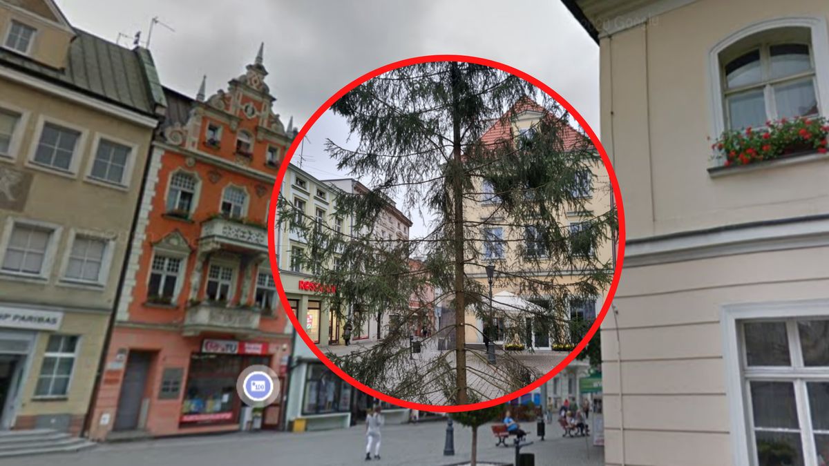 "Piękna" choinka w Zielonej Górze. Nawet prezydent miasta padł z wrażenia