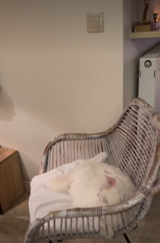 Meble w domu Foremniak