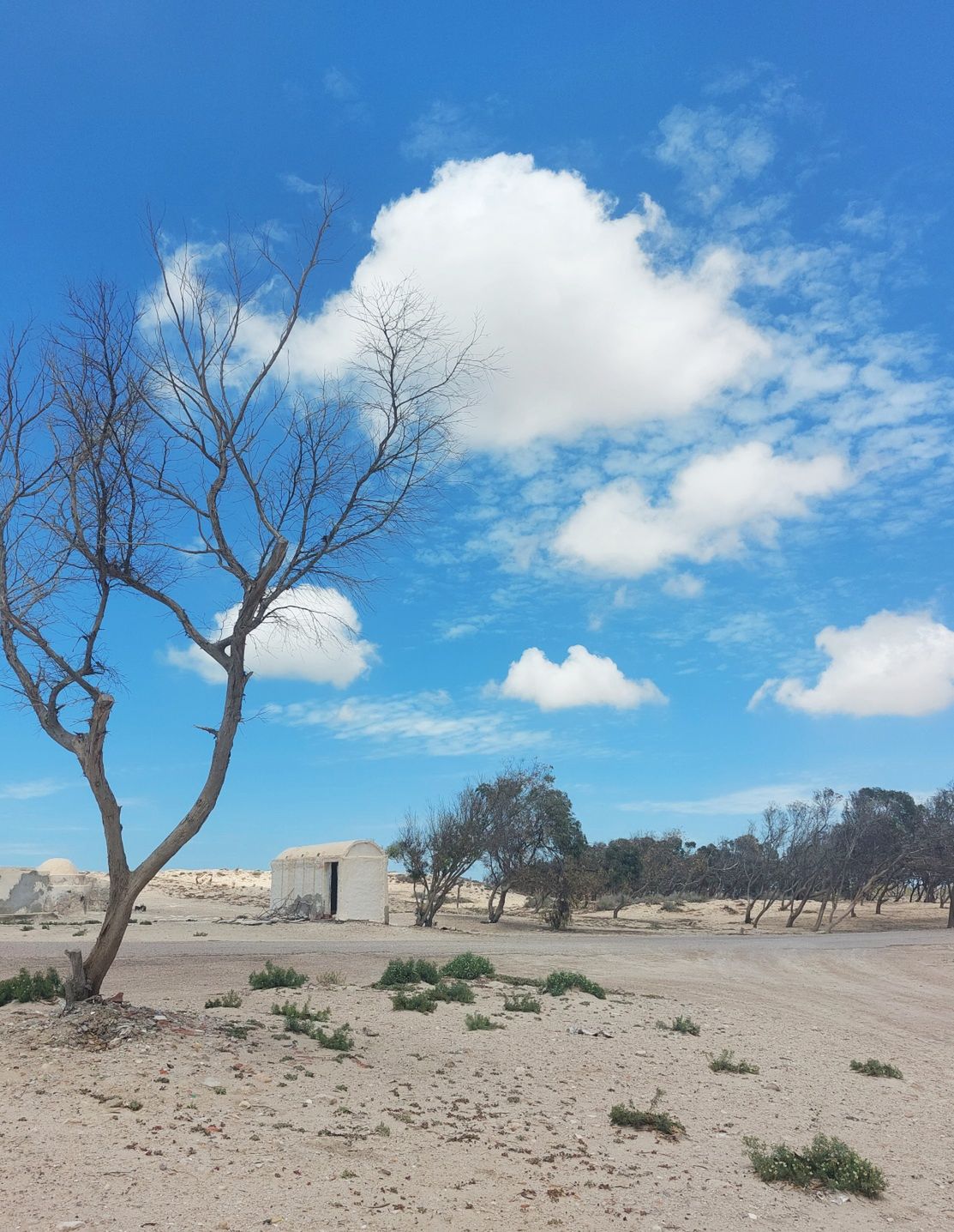 Sidi Jmour