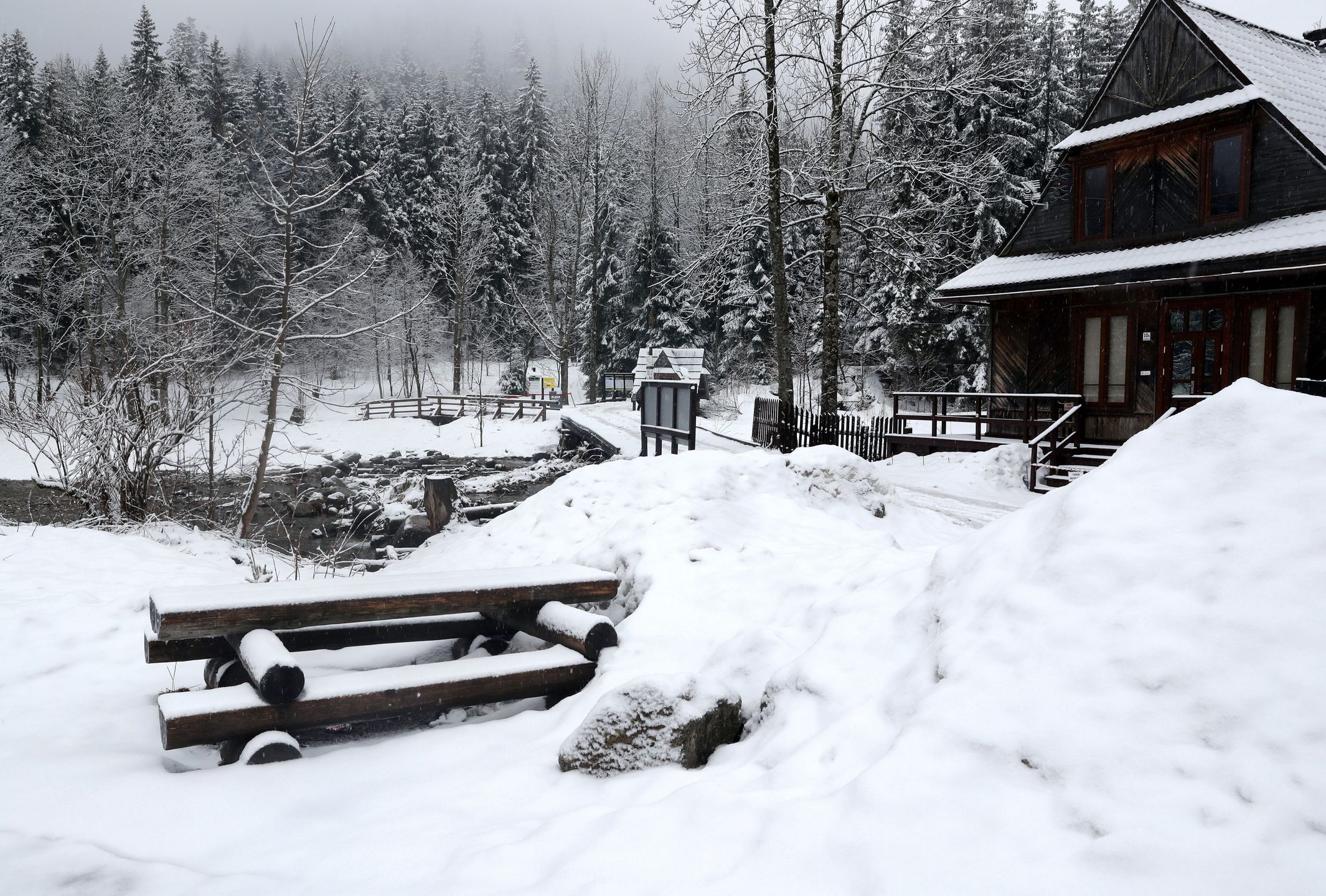 Zakopane 01.04.2022. Opady śniegu w Zakopanem. Po okresie słonecznej, wiosennej pogody temperatura się obniżyła i spadł śnieg. (kf) PAP/Grzegorz Momot