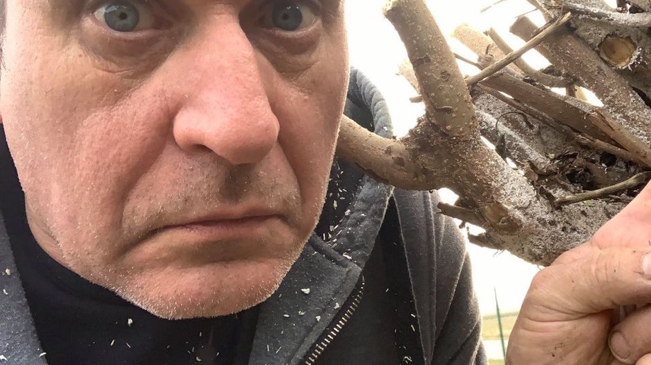 pawel kukiz ogrod wiosna