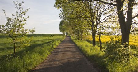 "Zimni ogrodnicy" zafundują nam kolejne przymrozki?