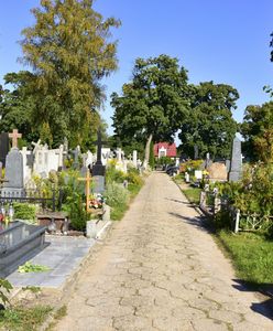 Płońsk. Makabryczne odkrycie na cmentarzu, znaleziono zwłoki noworodka