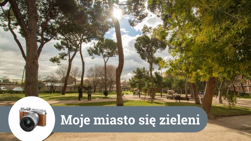 Sfotografuj wiosnę w mieście i wygraj aparat Fujifilm X-M1 z obiektywem 16-50 mm 1