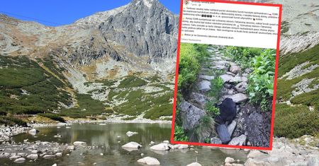 Turyści znaleźli martwego bobra. Wspinał się w Tatrach Wysokich