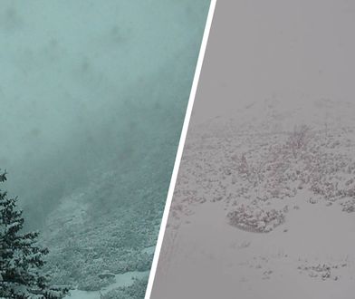 Śniegu po kolana i więcej. Na kamerkach kompletnie nic nie widać