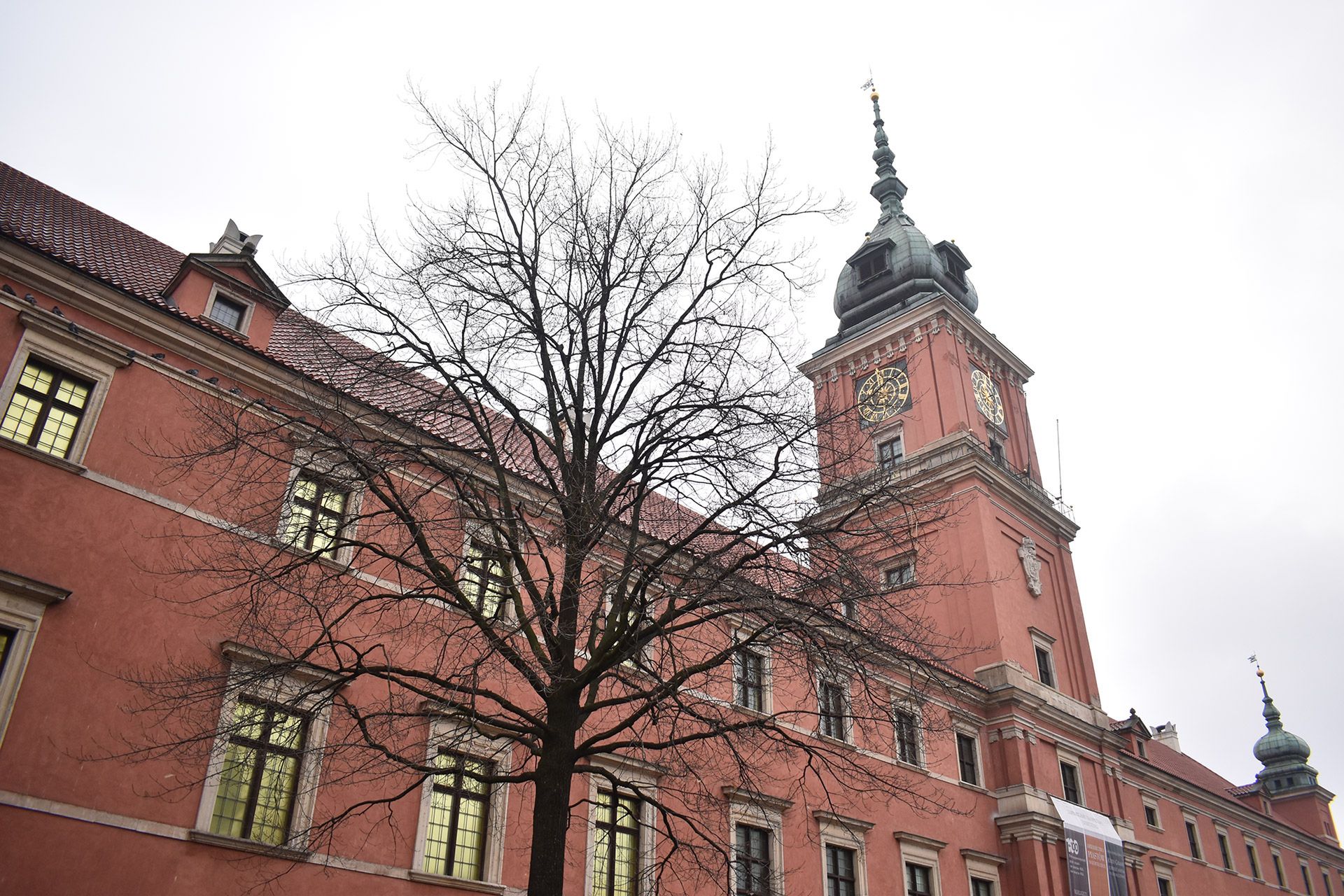 Nikon D5600 - test lustrzanki z Wi-Fi i Bluetooth dla entuzjastów fotografii 47