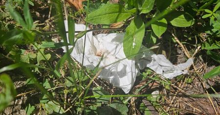 Co to? G*wno w papierku. Wielkie obrzydzenie wśród mieszkańców