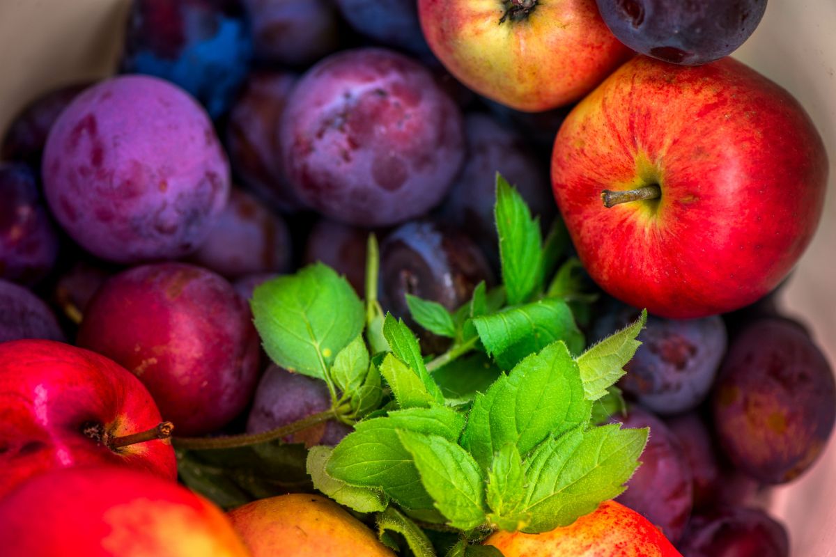 Jabłka, śliwki i mięta to gotowe rozwiązanie, które warto znać