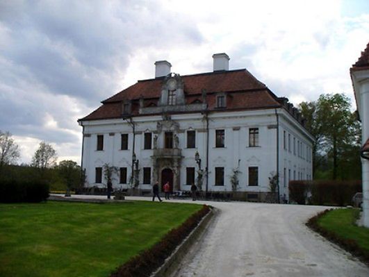 Obraz