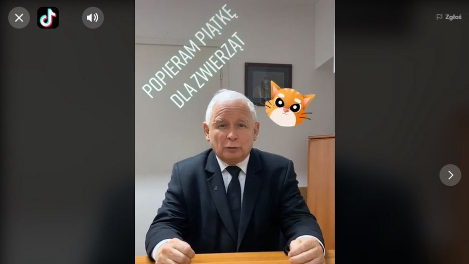 Prezes Kaczyński wzywa w internetowej akcji partii do poparcia ustawy "Piątka dla zwierząt"