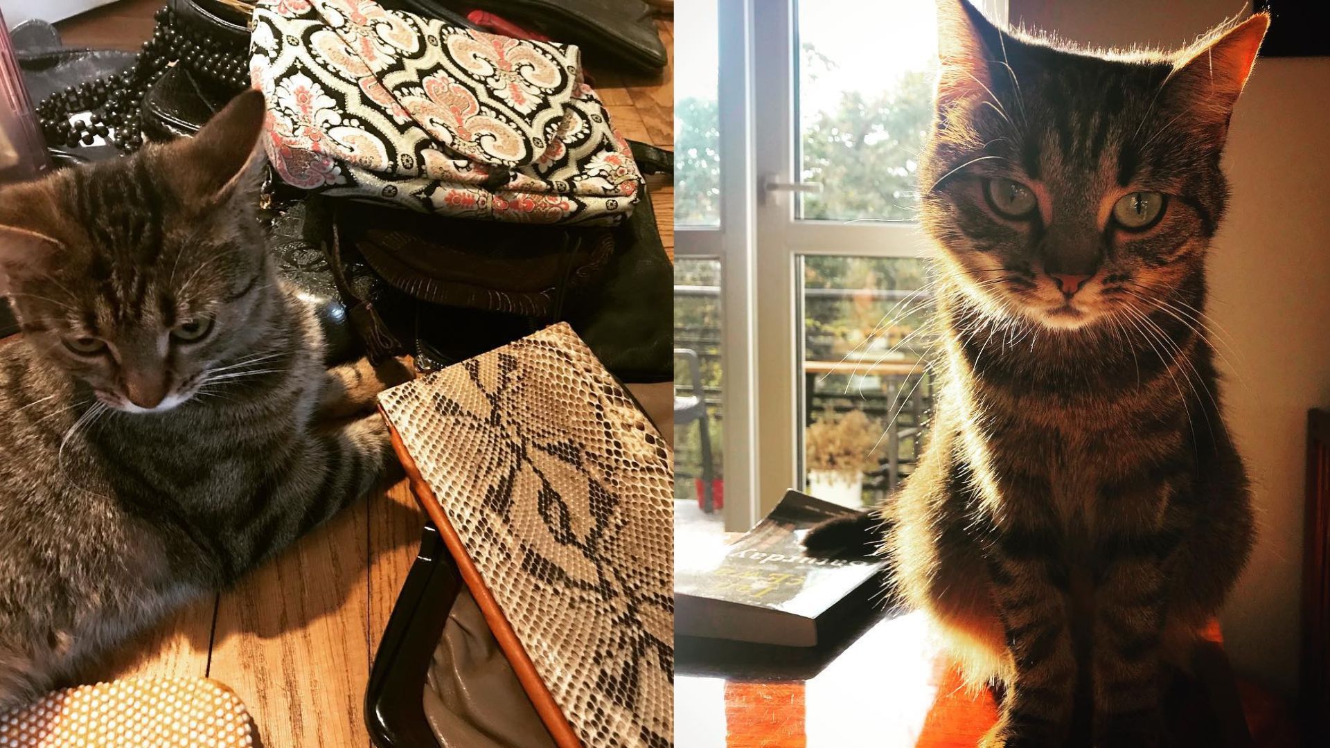 Tak mieszka Magdalena Cielecka