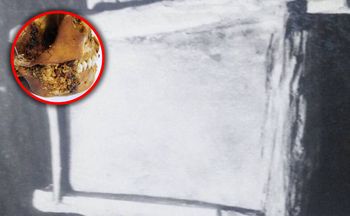 Znaleźli czaszkę na Syberii. Nie mogli uwierzyć własnym oczom