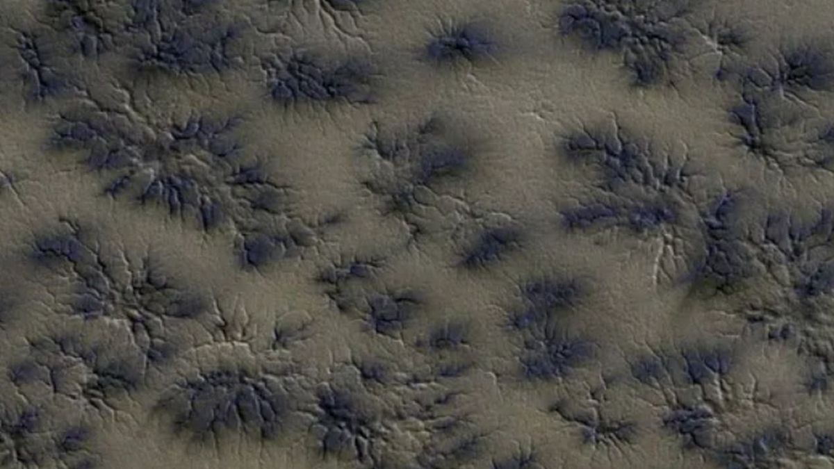 Naukowcy wyjaśnili nietypową strukturę Marsa