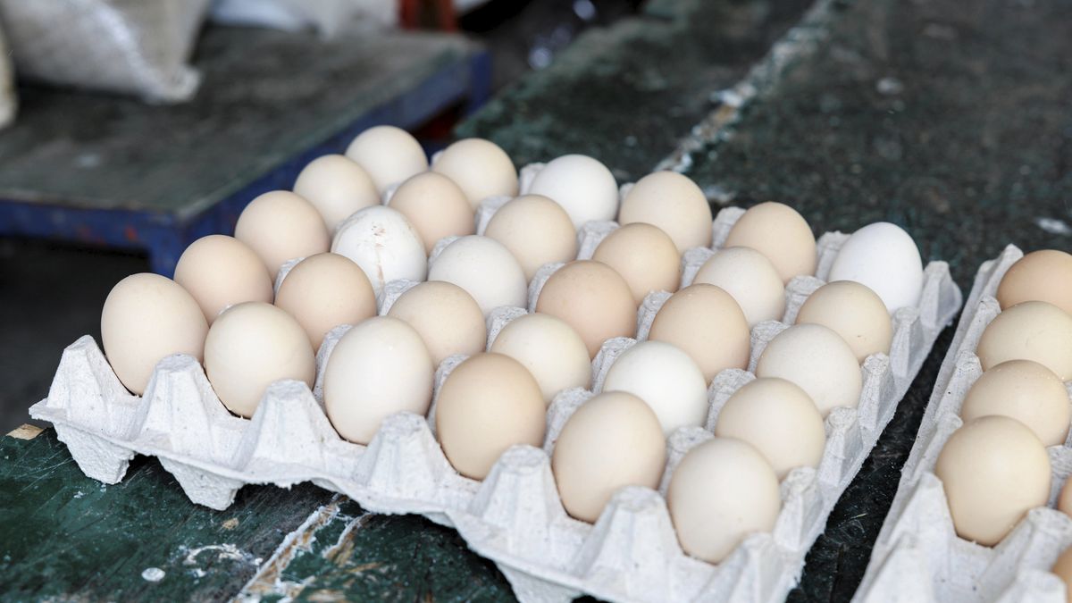 Jajeczny problem w Europie. Dotyka też Polski