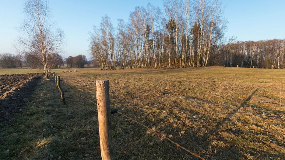 Rolnicy martwią się o uprawy