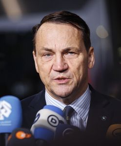 Polacy ocenili politykę Sikorskiego. Skrajne opinie, wielu się waha