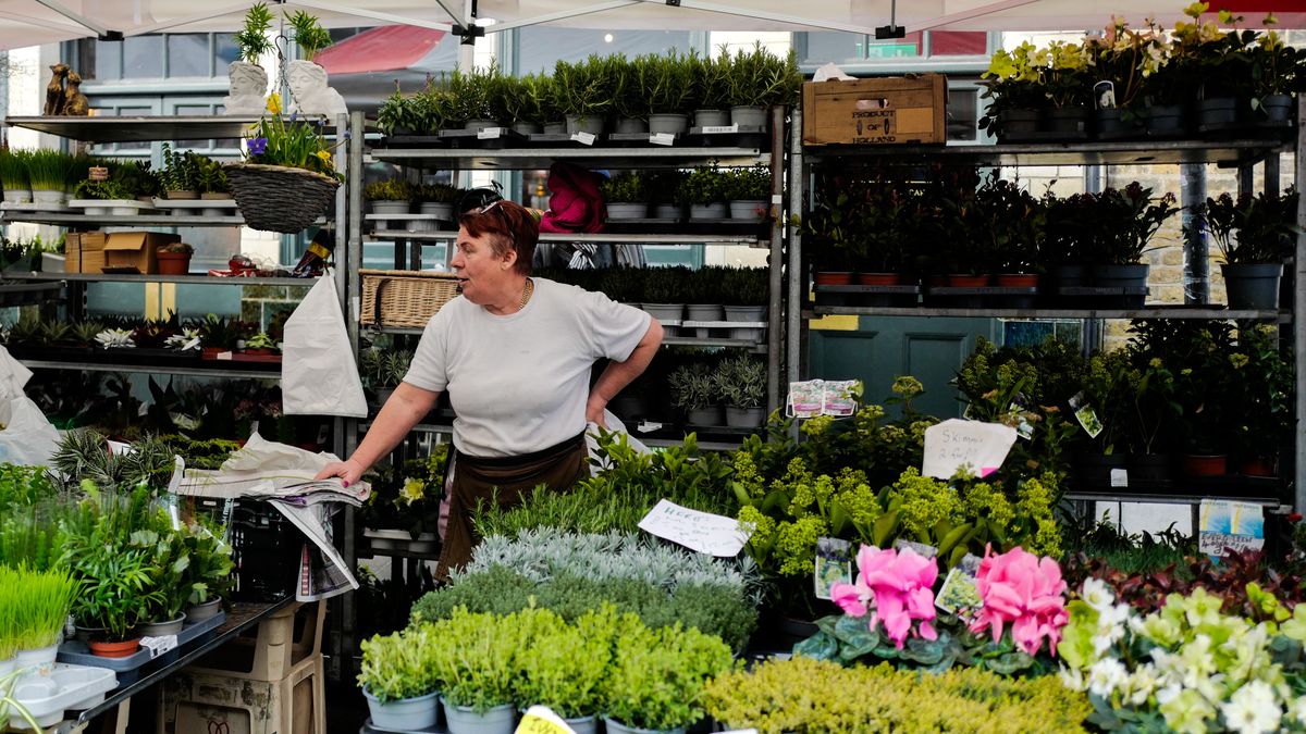 Branża florystyczna boryka się z problemami po wyjściu Wielkiej Brytanii z Unii Europejskiej