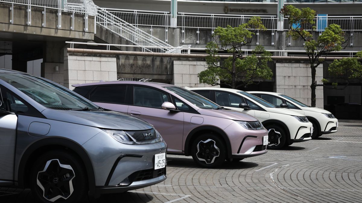 BYD Co. Dolphin compact electric vehicles in Yokohama, Japan, on Thursday, Aug. 8, 2023. BYD, the Warren Buffett-backed clean car giant, has sold 1.5 million fully-electric and hybrid passenger vehicles this year through July, half way to its annual target. Photographer: Kentaro Takahashi/Bloomberg via Getty Images