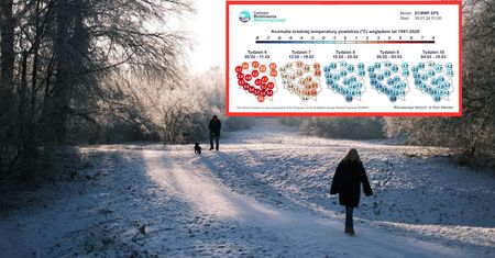 Pogoda na luty. Zwrot w trzeciej dekadzie miesiąca. Nastąpi powrót mrozów?