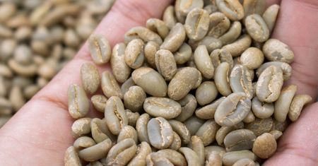 Pobudza lepiej niż filiżanka espresso. Pij taką kawę na zdrowie