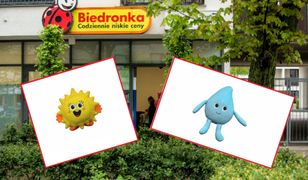 Gang Fajniaków jest największy na świecie. Maskotki podbijają serca Polaków