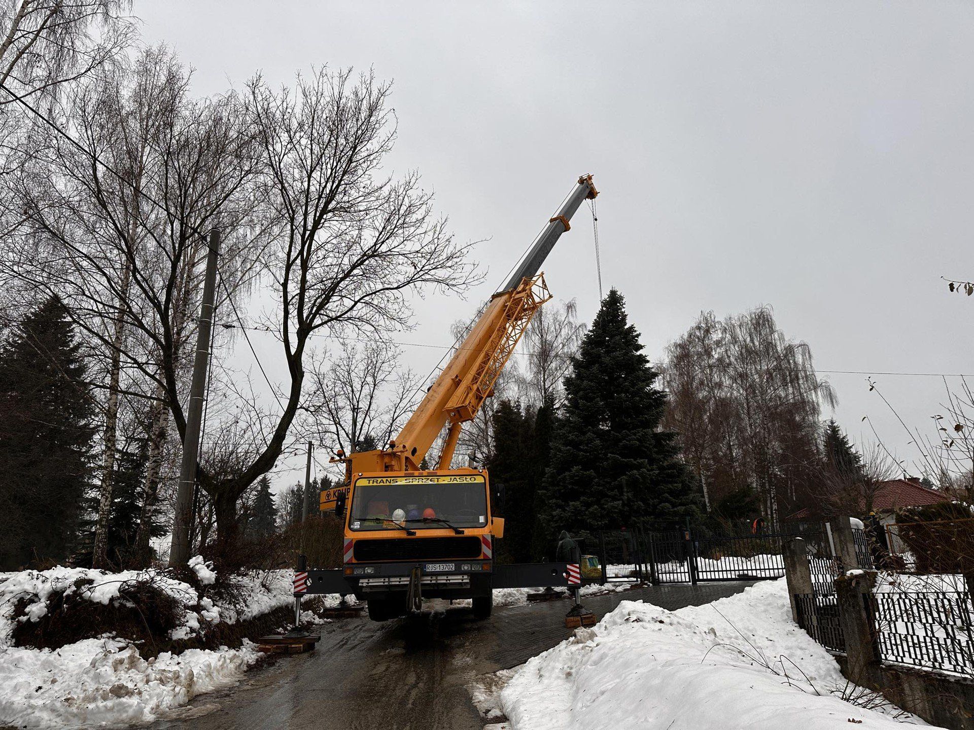 Choinka ruszyła na gorlicki Rynek