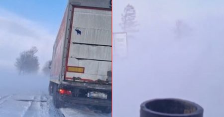 Koszmar na Podkarpaciu. Mieszkańcy uwięzieni w autach, jeden zgubił się w lesie