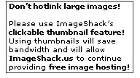 Fani Wykopu bojkotują Imageshacka. Bo blokuje duże obrazki 1