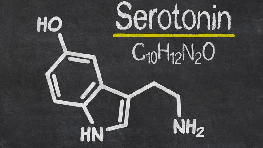 Serotonina jest neuroprzekaźnikiem, który wpływa na nasze codzienne samopoczucie 
