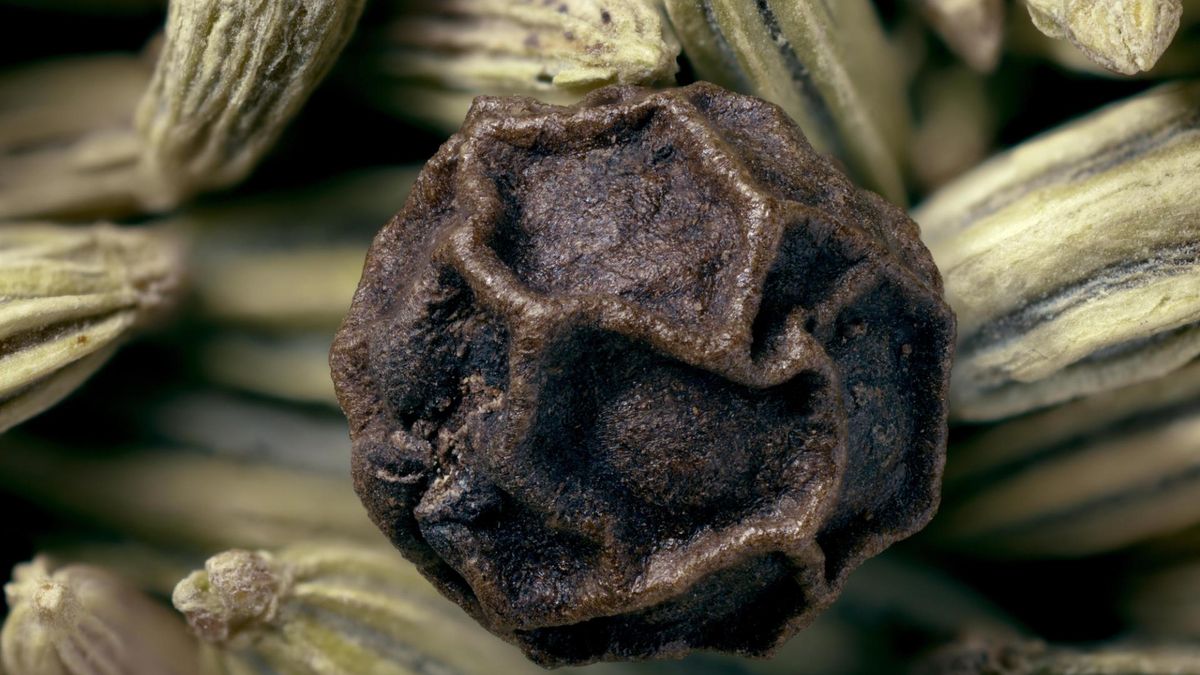 Mózg będzie ostry jak brzytwa. Ekspert wskazuje 4 przyprawy