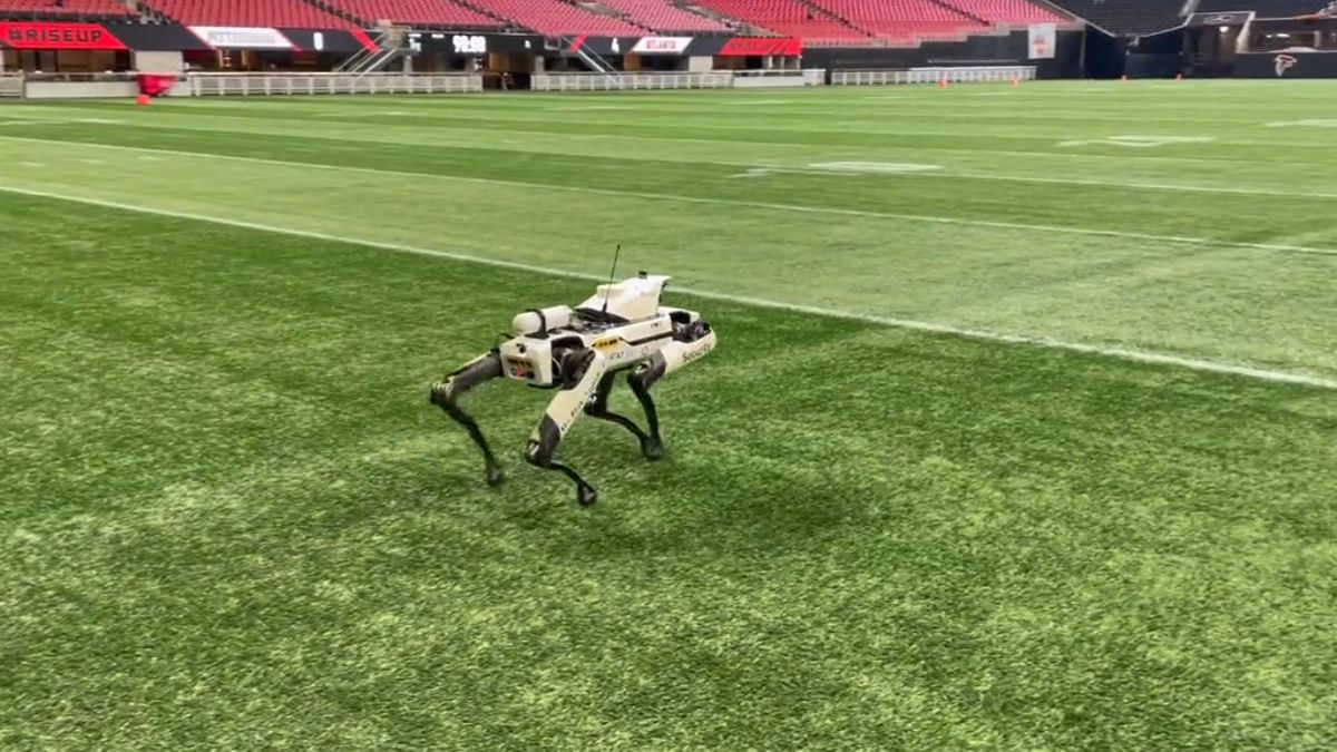 Robo-pies monitoruje murawę stadionu