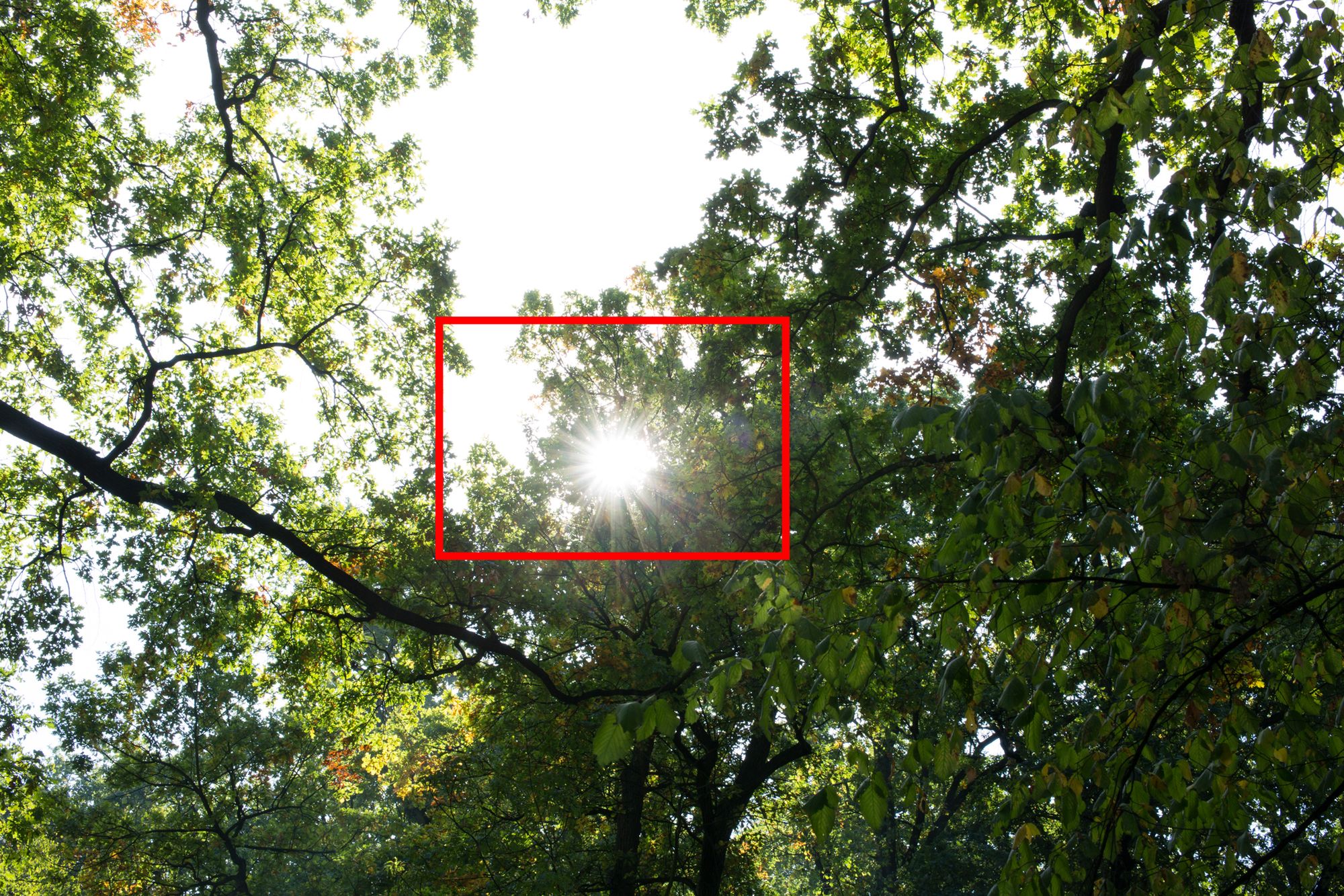 Tamron SP 45 mm f/1.8 Di VC USD - jasna, stabilizowana portretówka premium [recenzja] 18