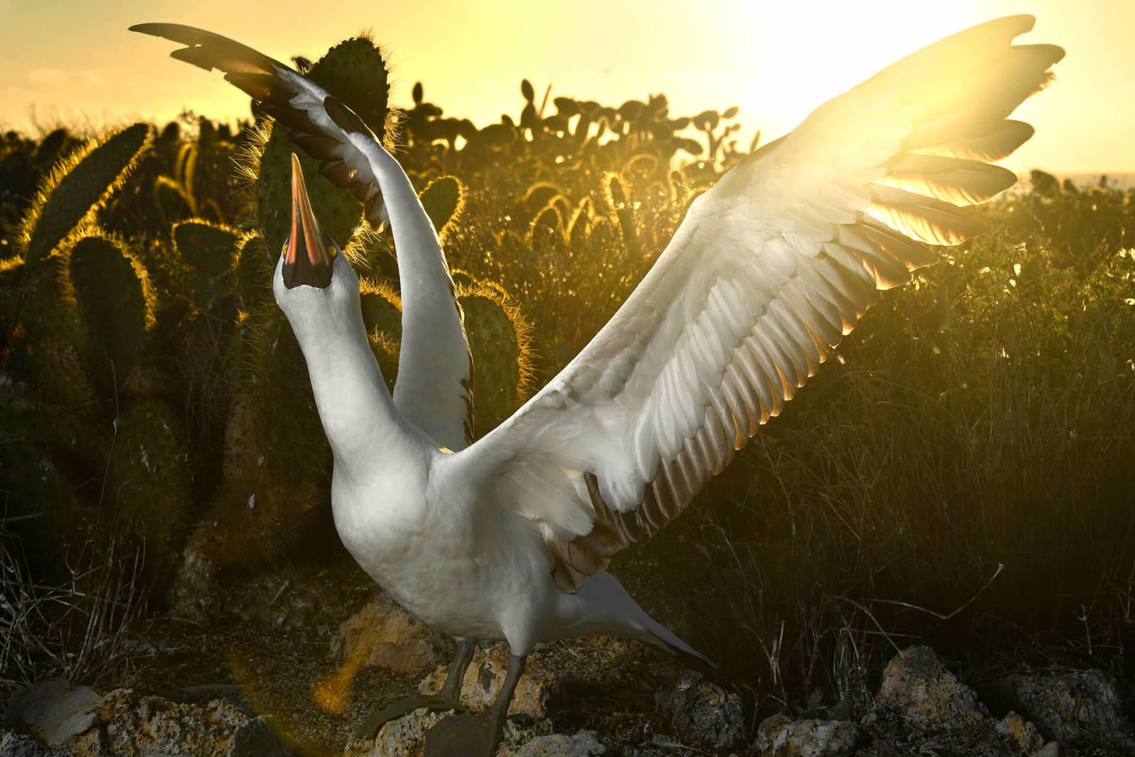 WeTransfer nie tylko do przesyłania zdjęcia. To źródło inspiracji! 13