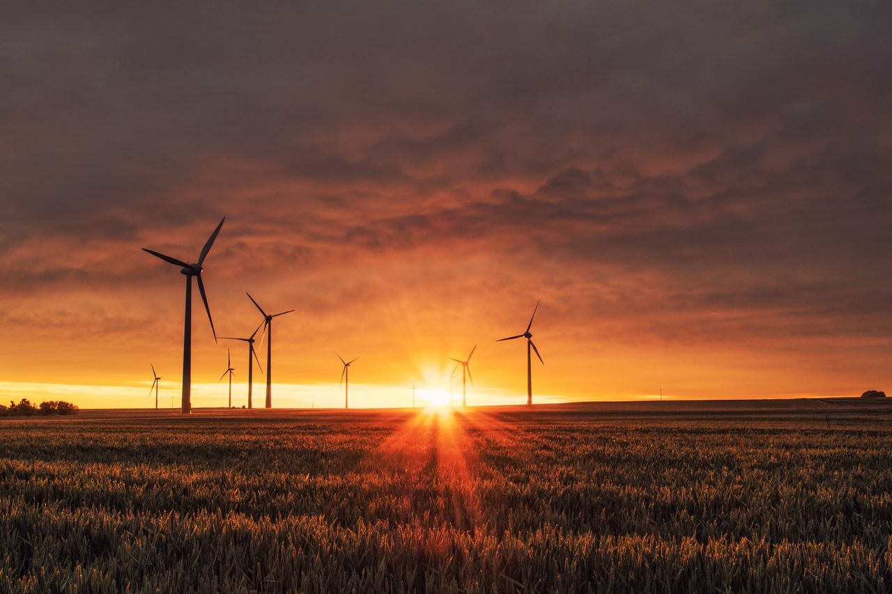 Dla klimatu każdy gest ma znaczenie