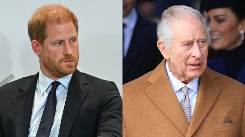 Eksperci apelują do księcia Harry'ego