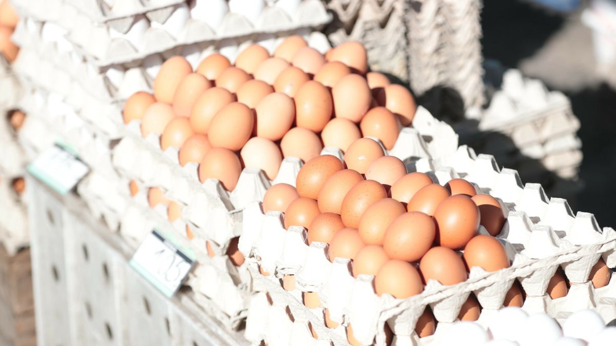 Producenci zadowoleni z przywrócenia ceł na jaja z Ukrainy