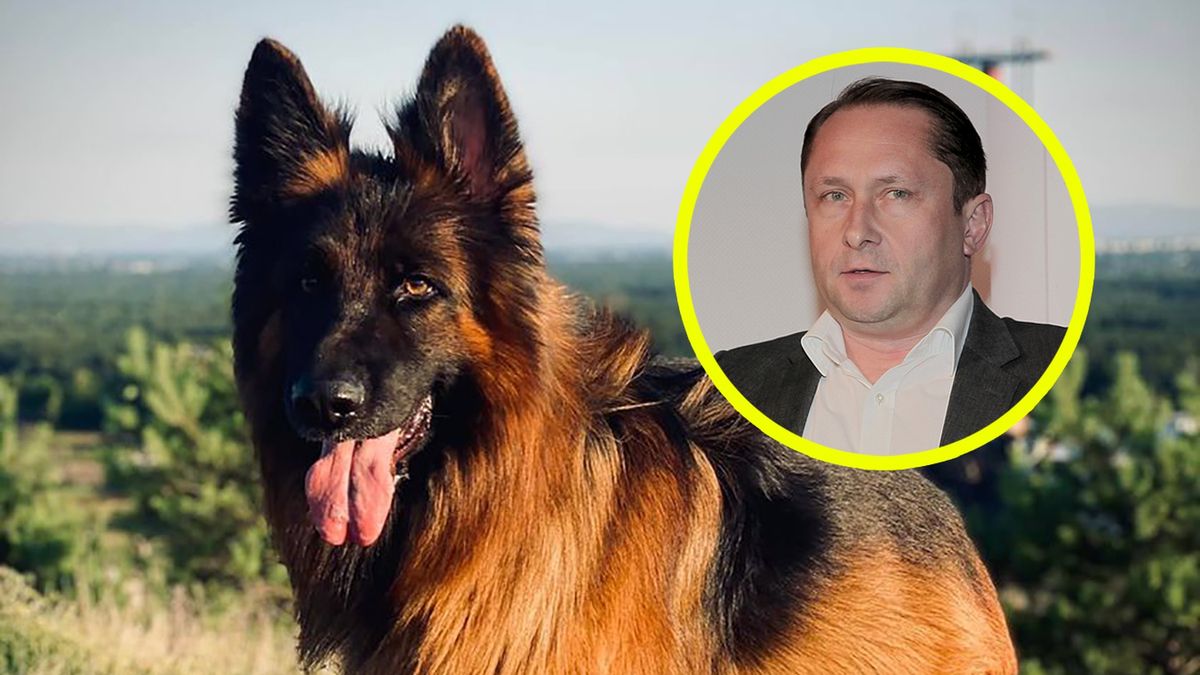 Nie żyje pies Kamila Durczoka o imieniu Dymitr