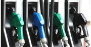 Algi obietnicą alternatywnego biopaliwa
