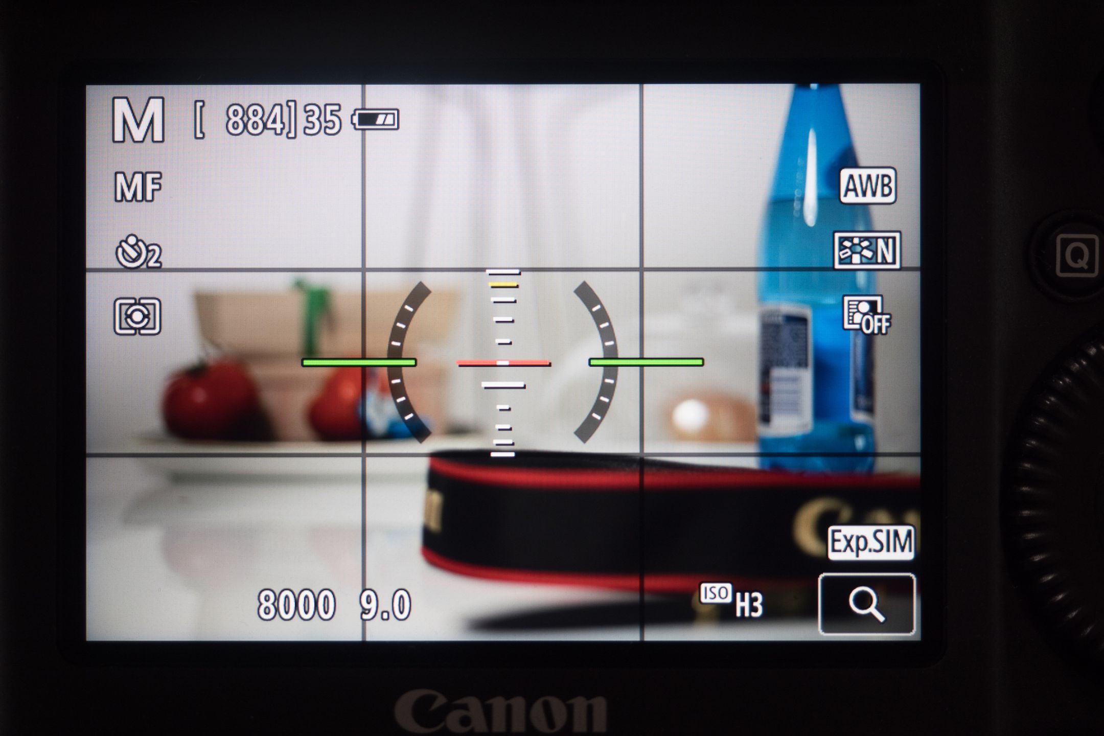 Canon EOS-1D X Mark II - test najszybszej lustrzanki na świecie 32