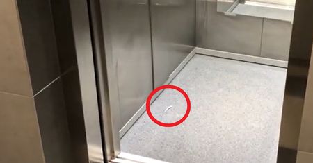 Siedmiolatek utknął w windzie. Strażacy nie mogli uwierzyć, co było przyczyną awarii