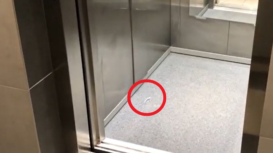 Siedmiolatek utknął w windzie